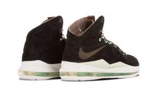 Load image into Gallery viewer, Nike Lebron 10 EXT QS BLACK/BLACK-DK FLD BROWN-TRMLN